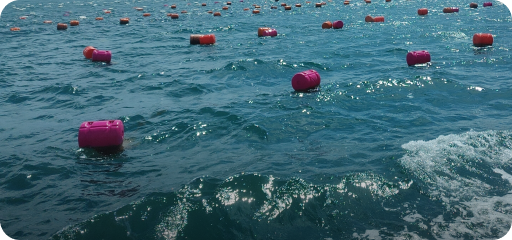 친환경 그린부표